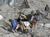 Cavalli e portatori sul Baltoro