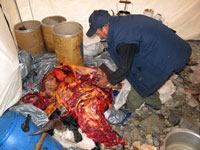 Macellazione dello 'zoo'