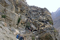 Gregge di capre lungo il sentiero del trekking