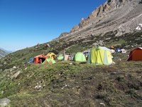 Il campo di di Ms Go al c.b.