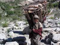 Ragazza carica di legna da ardere