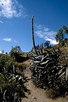 Ollantaytambo - Trekking